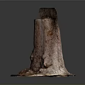 Brown Tree Stump With Rough Texture And Small Roots Against Dark Background 3d model