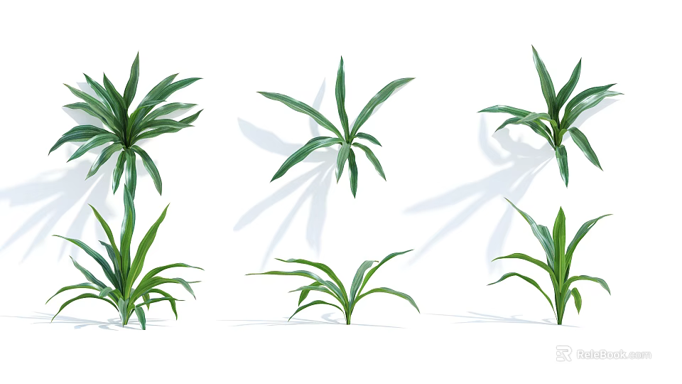 Fresh Green Plant Leaves of Various Types with Natural Shapes for Garden Decor 3d model 