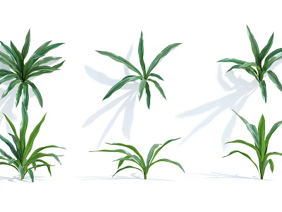 Fresh Green Plant Leaves of Various Types with Natural Shapes for Garden Decor 3d model