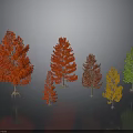 Colorful Trees With Red Orange Green Foliage Arranged On Grey Background With Reflections