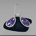 Elegant Purple Gemstone Earrings With Silver Frame And Velvet Base