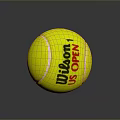Wilson US Open Professional Yellow Tennis Ball For Daily Sports Activities