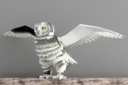 Modern Owl 3d model