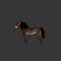 Realistic Brown Pony With Dark Mane Standing On Grey Background