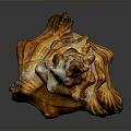 Intricate Brown And White Striped Conch Shell With Textured Spiral Structure On Dark Reflective Surface