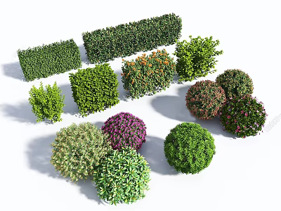Diverse Plant Combinations with Various Shapes Vibrant Colors for Garden Landscape 3d model