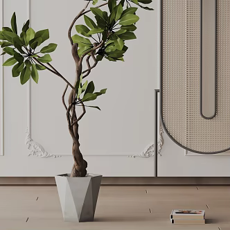 Modern Potted Plant 3d model