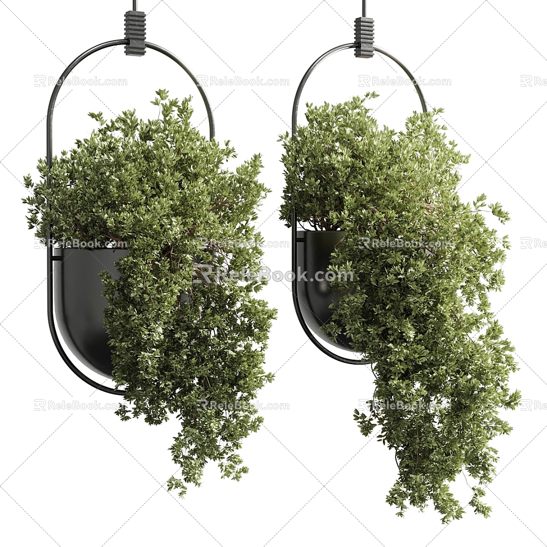 Modern hanging basket green plant potted hanging basket 3d model