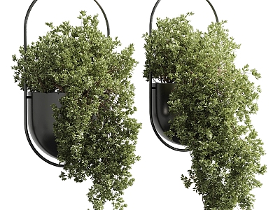 Modern hanging basket green plant potted hanging basket 3d model