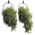 Modern hanging basket green plant potted hanging basket 3d model