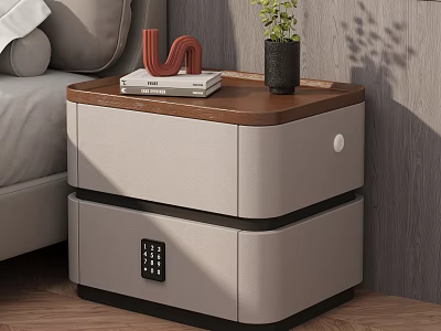 Modern Nightstand with Wooden Top Books Small Plant Decorative Ornament Two Drawers Including Combination Lock 3d model