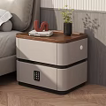 Modern Nightstand with Wooden Top Books Small Plant Decorative Ornament Two Drawers Including Combination Lock