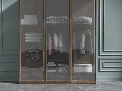 Modern Wooden Wardrobe with Transparent Glass Doors for Hanging and Folded Clothes Storage 3d model