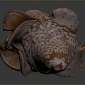 Natural Agricultural Crop Featuring Rough Textured Surface And Multi Layered Brown Orange Form