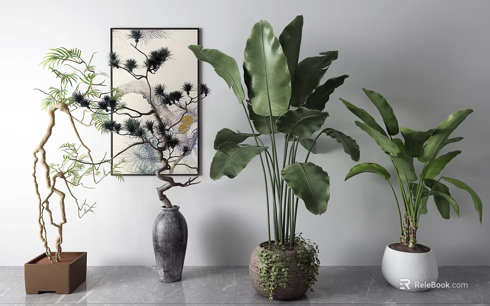Indoor Bonsai and Potted Plants with Ceramic Woven White Pots and Pine Leafy Greenery 3d model 