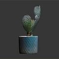 Colorful Iridescent Cactus Plant In Textured Pot With Spotted Pads And Shiny Surface