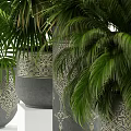Lush Green Potted Plants In Decorative Ceramic Planters With Intricate Patterns 3d model