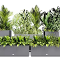 Lush Green Potted Plants Arranged In Multiple Modern Planters For Indoor Home Decor