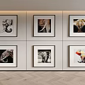 Framed Elephant Wall Art Collection Displayed On White Wall With Various Styles