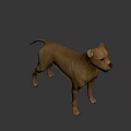Realistic Brown Dog 3D Model With Detailed Fur And Expressive Features