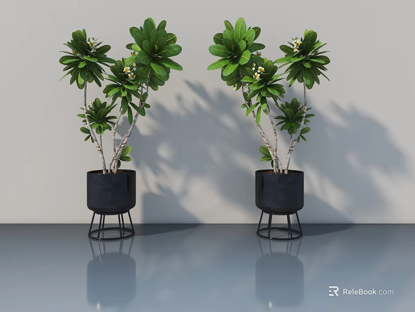 Two Green Plants In Black Pots With Metal Stands On Gray Floor 3d model 