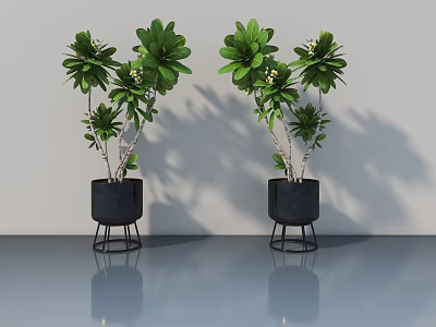 Two Green Plants In Black Pots With Metal Stands On Gray Floor 3d model