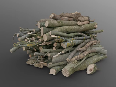 Natural Wood Logs and Tree Branches Stacked in Pile with Cut Timber Pieces 3d model