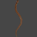 Brown Patterned Snake With Slithering Curved Body Against Dark Background