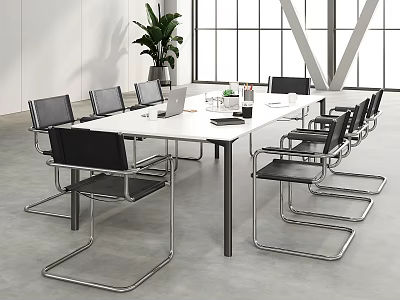 Modern Conference Room With Long White Table Black Metal Frame Chairs Laptop Green Plant 3d model