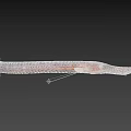 Brown Spotted Aquatic Animal With Long Body Elongated Snout And Swimming Posture Underwater
