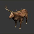 Realistic 3D Deer Model With Large Antlers Brown Coat And White Hooves