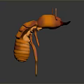 Orange Insect 3D Model With Segmented Body Antennae And Shiny Legs On Dark Background 3d model