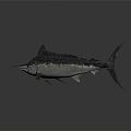 Modern Black Gunfish Dark Marlin 3d model