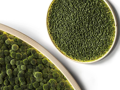 Green Moss Decorative Ornament Set With Round Shape And Wooden Frames 3d model