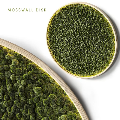 Green Moss Decorative Ornament Set With Round Shape And Wooden Frames 3d model