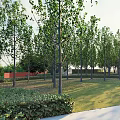 Curved White Pathways In Lush Green Garden Landscape With Dense Trees And Architectural Structures