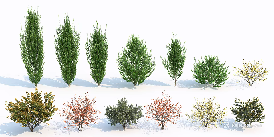 Diverse Garden Shrubs With Green Red Yellow Leaves And Varied Shapes 3d model 