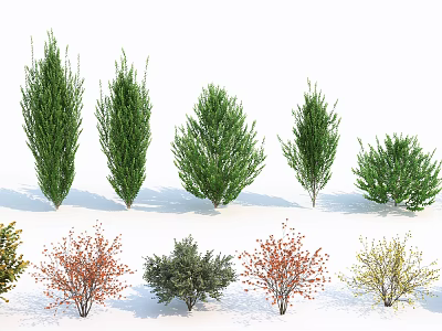 Diverse Garden Shrubs With Green Red Yellow Leaves And Varied Shapes 3d model