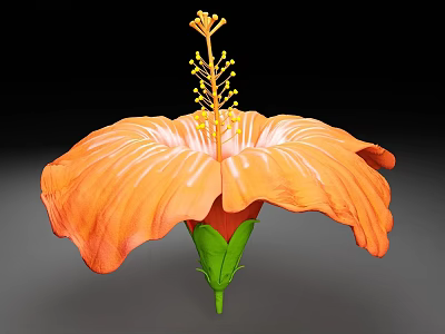 Beautiful Vibrant Orange Flower with Large Petals Yellow Stamens and Green Stem 3d model