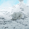 Modern polar bear 3d model