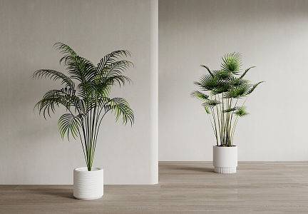 potted plant 3d model