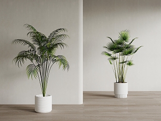 potted plant 3d model