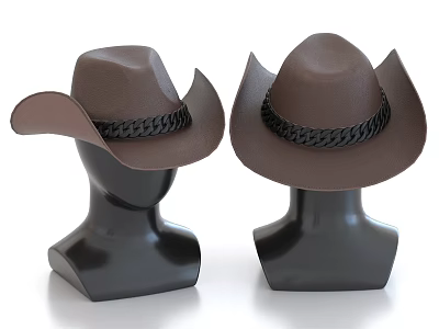 Brown Cowboy Hats On Black Mannequin Heads With Black Braided Bands 3d model