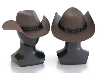 Brown Cowboy Hats On Black Mannequin Heads With Black Braided Bands 3d model
