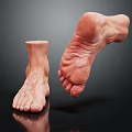 Man's Foot Anatomical Structure Showing Detailed Ankle And Toe Features On Black Surface