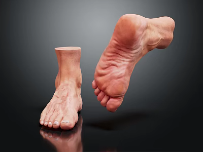 Man's Foot Anatomical Structure Showing Detailed Ankle And Toe Features On Black Surface 3d model