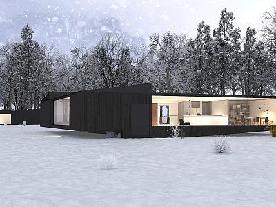 Modern Detached House In Snowy Landscape With Black Exterior And Glass Windows 3d model