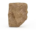 Ancient Garden Landscape Design With Fossil Rock And Plant Imprint Details