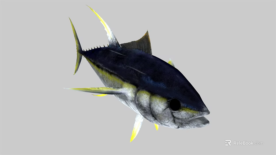 Blue and Yellow Tuna Fish With Streamlined Body And Yellow Fins 3d model 