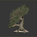 Bonsai Tree Featuring Curved Trunk Lush Green Foliage In Stone Pot With Pink White Texture
